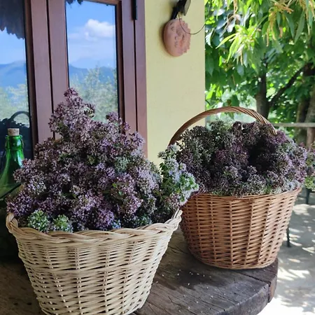 La Pezzuola 52 * Sopralacroce