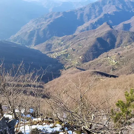 La Pezzuola 52 *