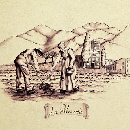 La Pezzuola 52