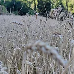La Pezzuola 52 شقة