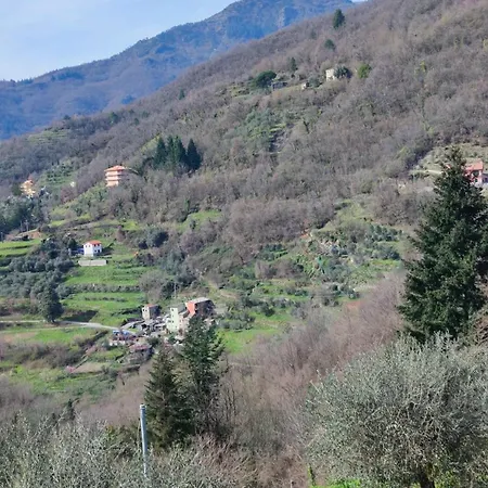 La Pezzuola 52